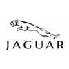 jaguar spor yay