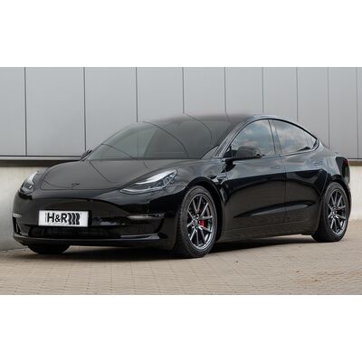 tesal model 3 2wd hr spor yay 40mm