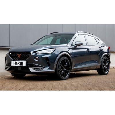 cupra formentor hr spor yay 2